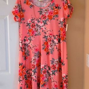NWT Beautiful Dress